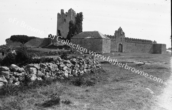 CLONONY CASTLE FROM WEST - SHANNON HARBOUR ROAD